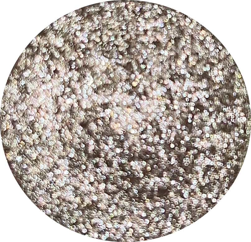 Champagne Dazzling Pigment 0.5g